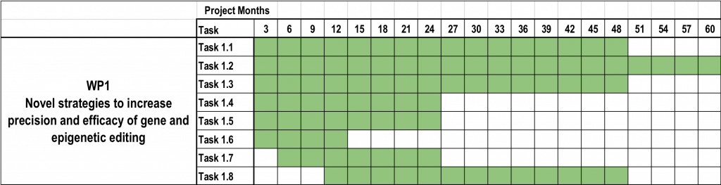 WP1 timeline