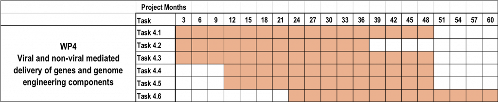 UPGRADE_WP4_timeline